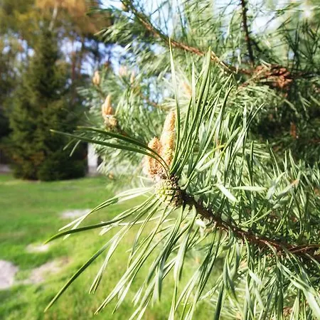 アパート Nadmorski シュトゥトボ