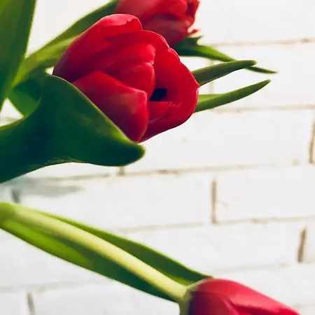 Nadmorski シュトゥトボ