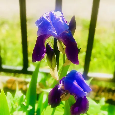 Nadmorski アパート シュトゥトボ