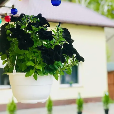 Nadmorski * Sztutowo