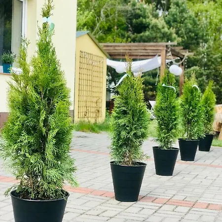 Nadmorski * Sztutowo