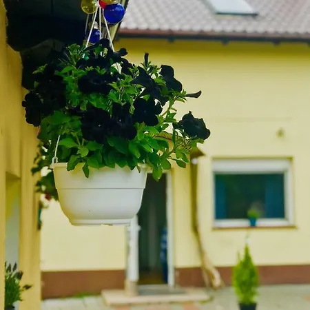 Nadmorski Apartment *