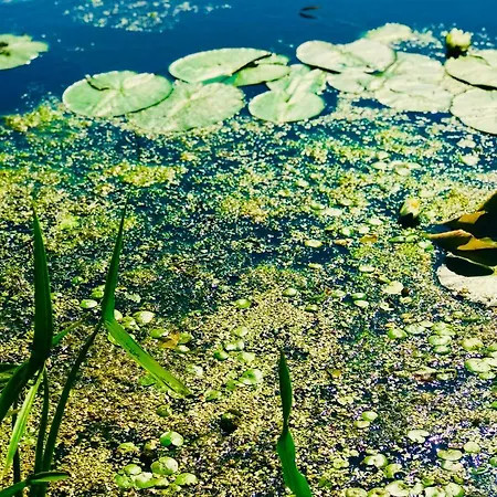 Nadmorski アパート シュトゥトボ