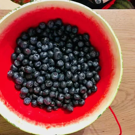 アパート Nadmorski