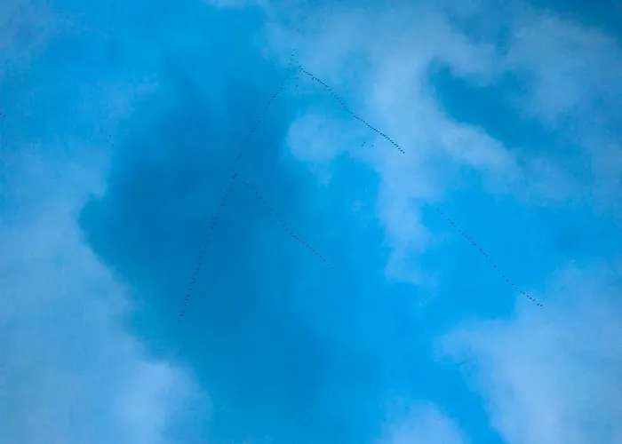 Lägenhet Nadmorski Las *