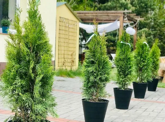 Nadmorski Las * Sztutowo