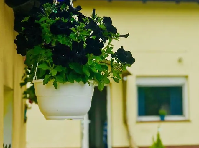 Nadmorski Apartman *