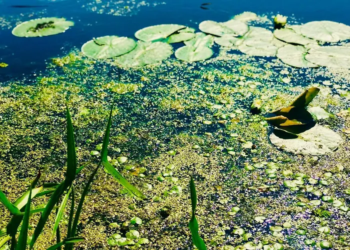 Nadmorski Las Lägenhet Sztutowo