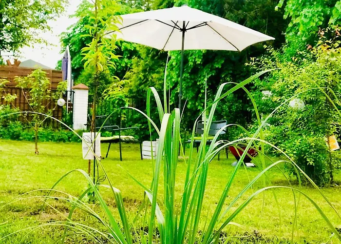 Nadmorski Las * Sztutowo