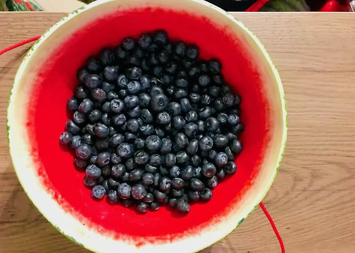 Lägenhet Nadmorski Las